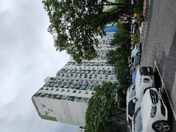 본 건 전경