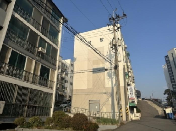 본건