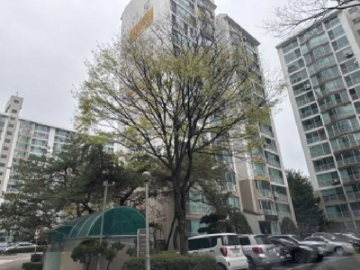 전체