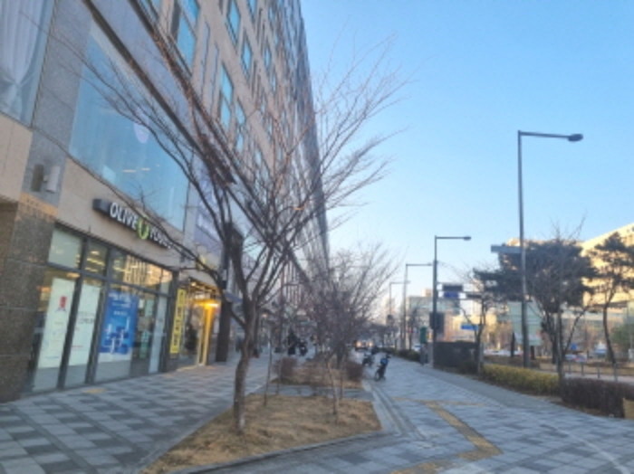 주변 도로 모습1