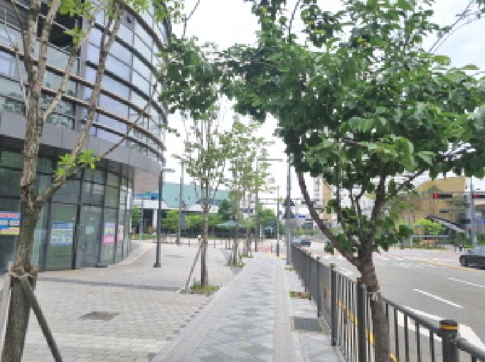 주변 모습