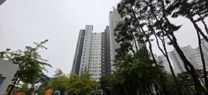 본 부동산 건물 모습