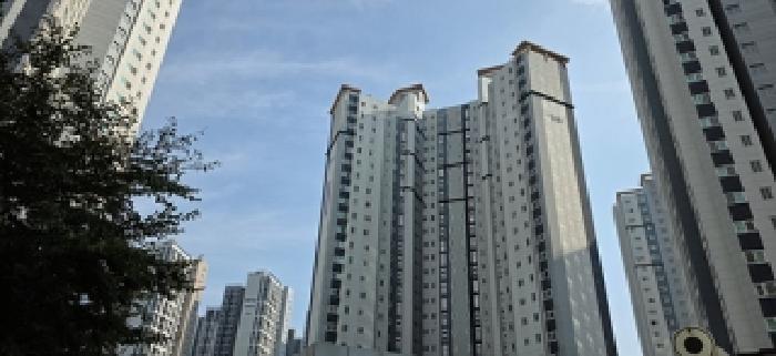 본 부동산 모습