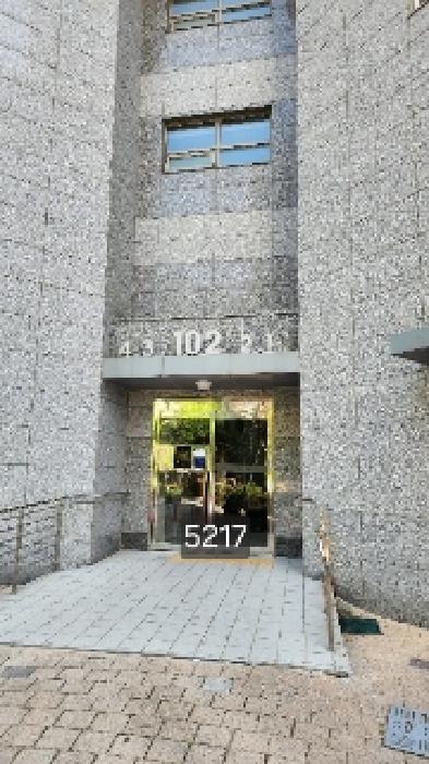본건 전경