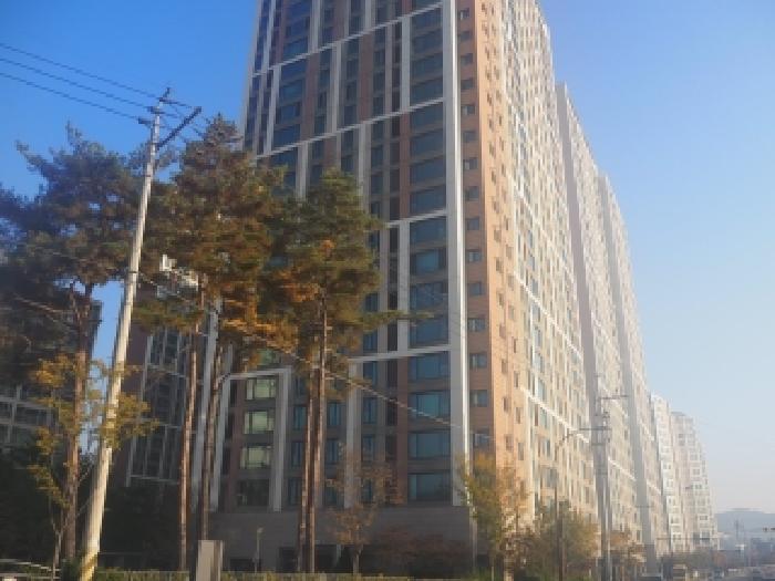 본건 전경