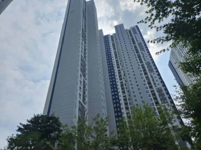 건물 전견