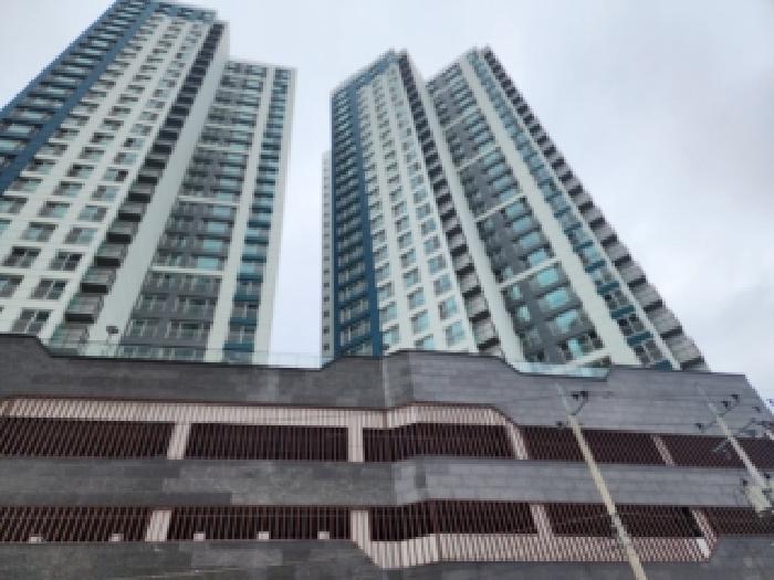전경
