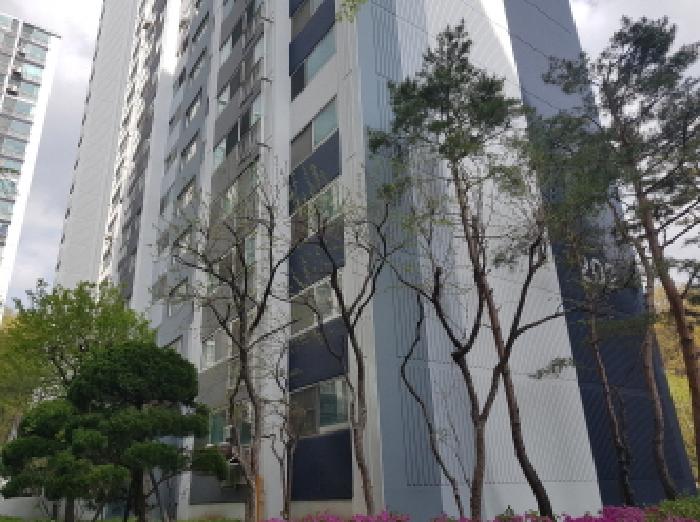 건물 전경