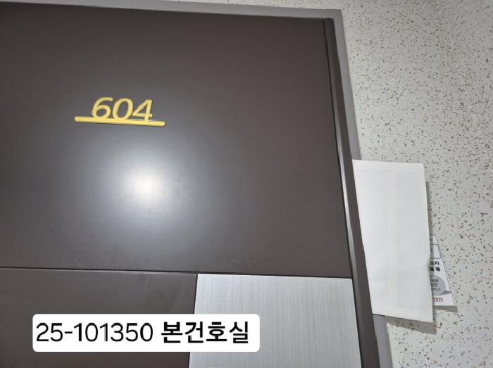 협성디에스엘리시안 113동 6층604호