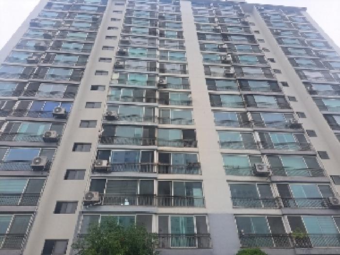 건물 전체 전경
