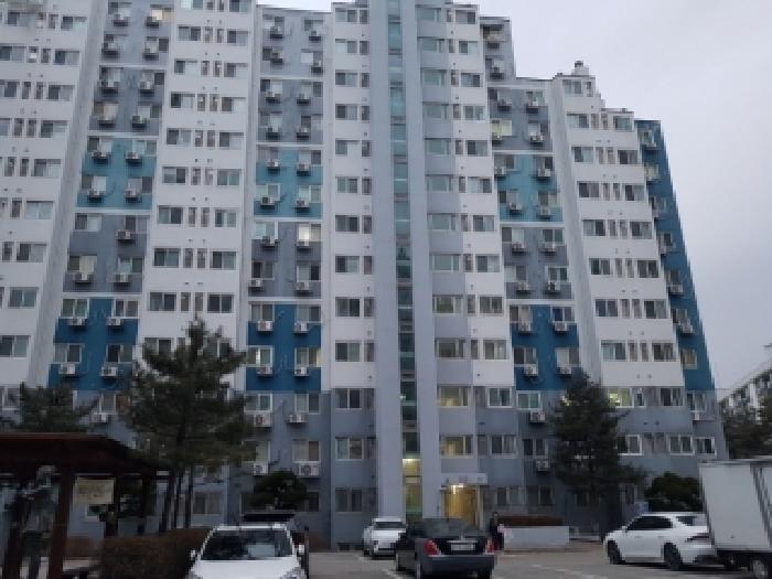 [사진 ]
