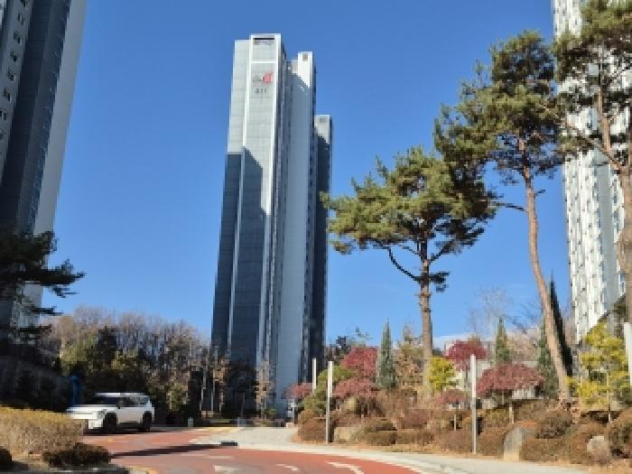 411동