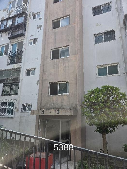 본건 전경