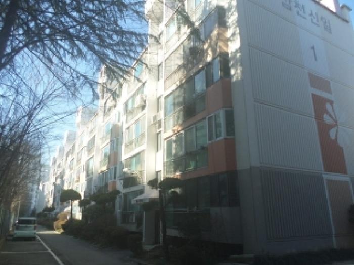 본건 건물이 소재하는 1동건물의 전경