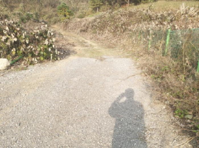 * 본건 목록 2. 3. 인근 접근로 전경