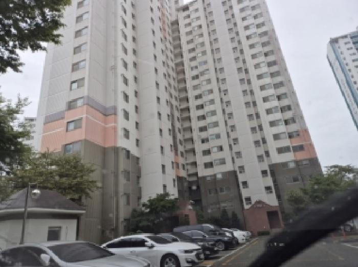 사진1