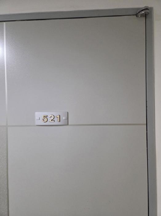 521호
