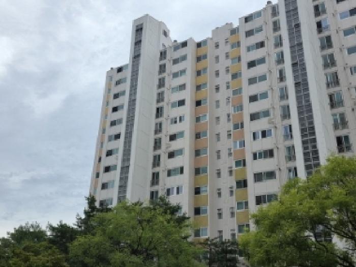 기호1번 전경