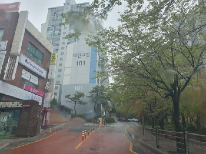 단지 진입로