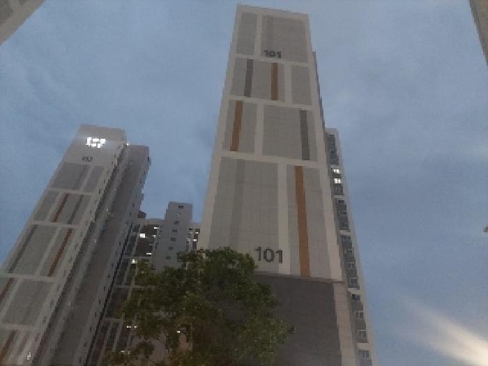 건물전경