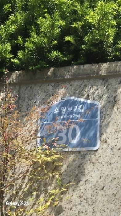도로명주소