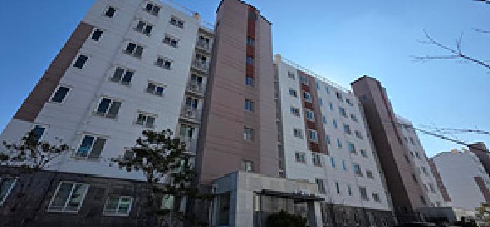 본 부동산 건물 모습