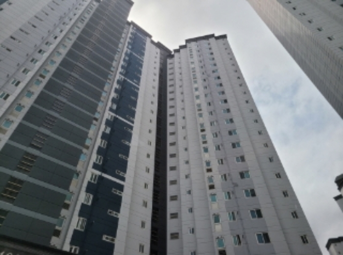 사진1