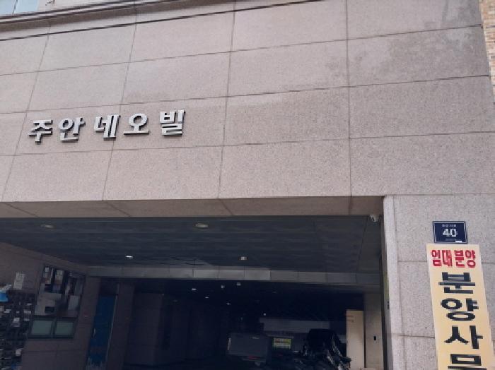 도로명 주소 및 건물 명칭