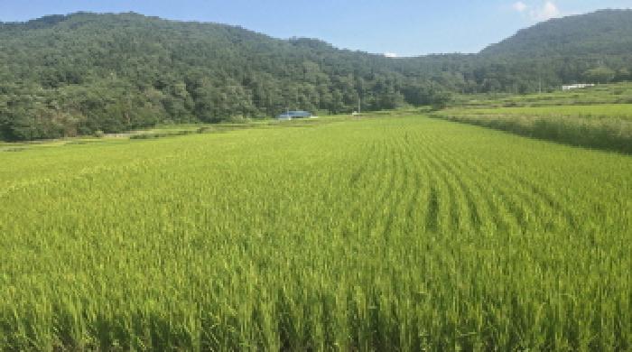 부동산의 표시