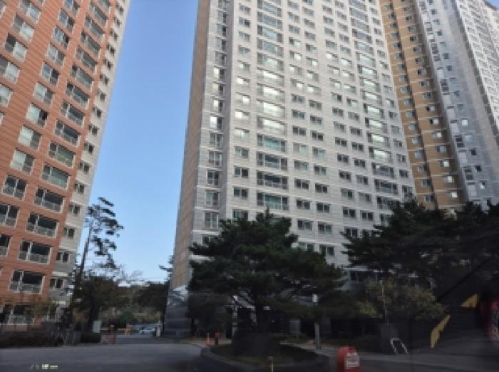 사진1