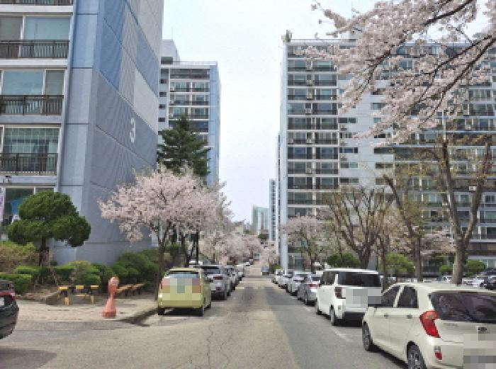 주변 도로 모습