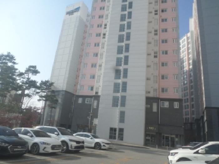 본건 건물이 소재하는 1동건물의 전경