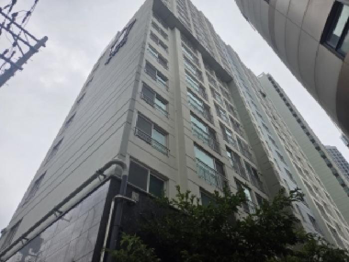 후면