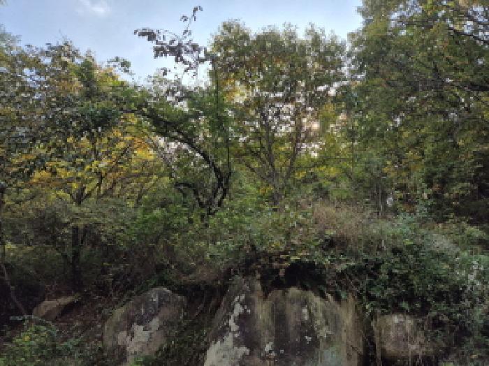 부동산의 표시4.