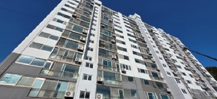 본 부동산 건물 모습