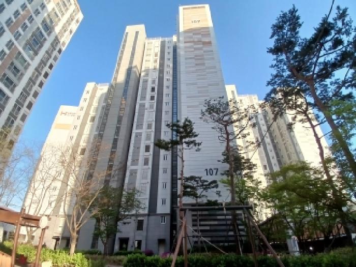 전경