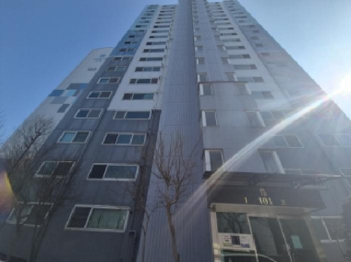사진1