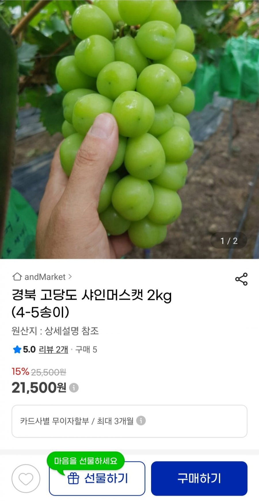 경북 고당도 샤인머스켓2kg (21,500원/무료)