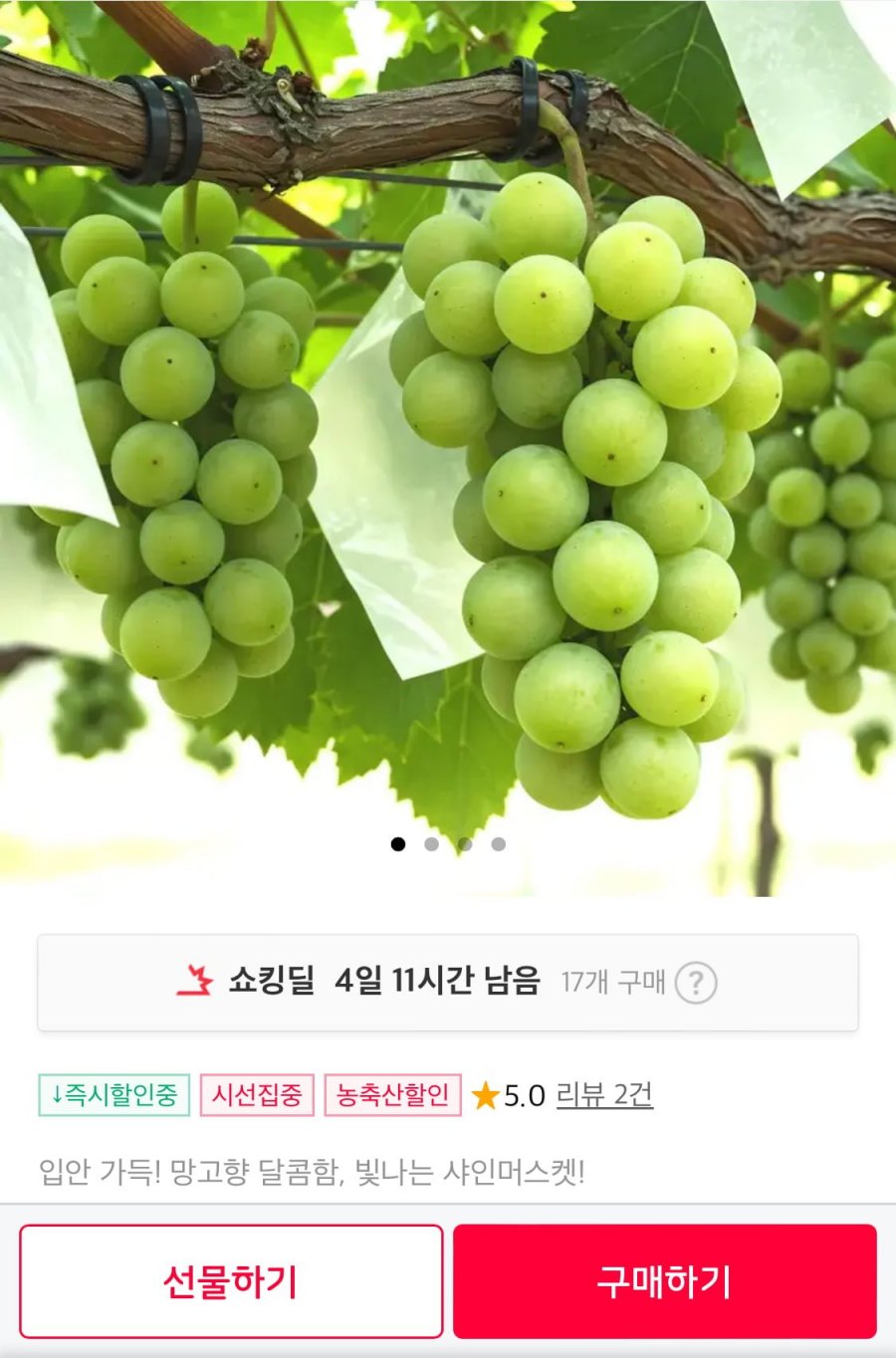 샤인머스켓 1kg내외 (2수)(8,960원/무료)