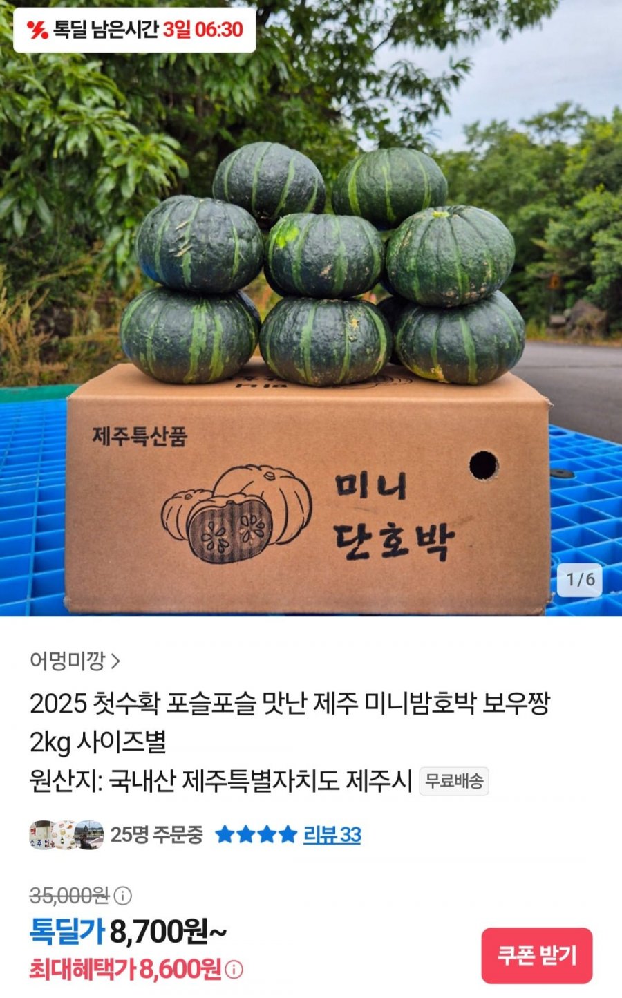 첫수확 제주 미니밤호박 보우짱 2kg (8,600원/무배)