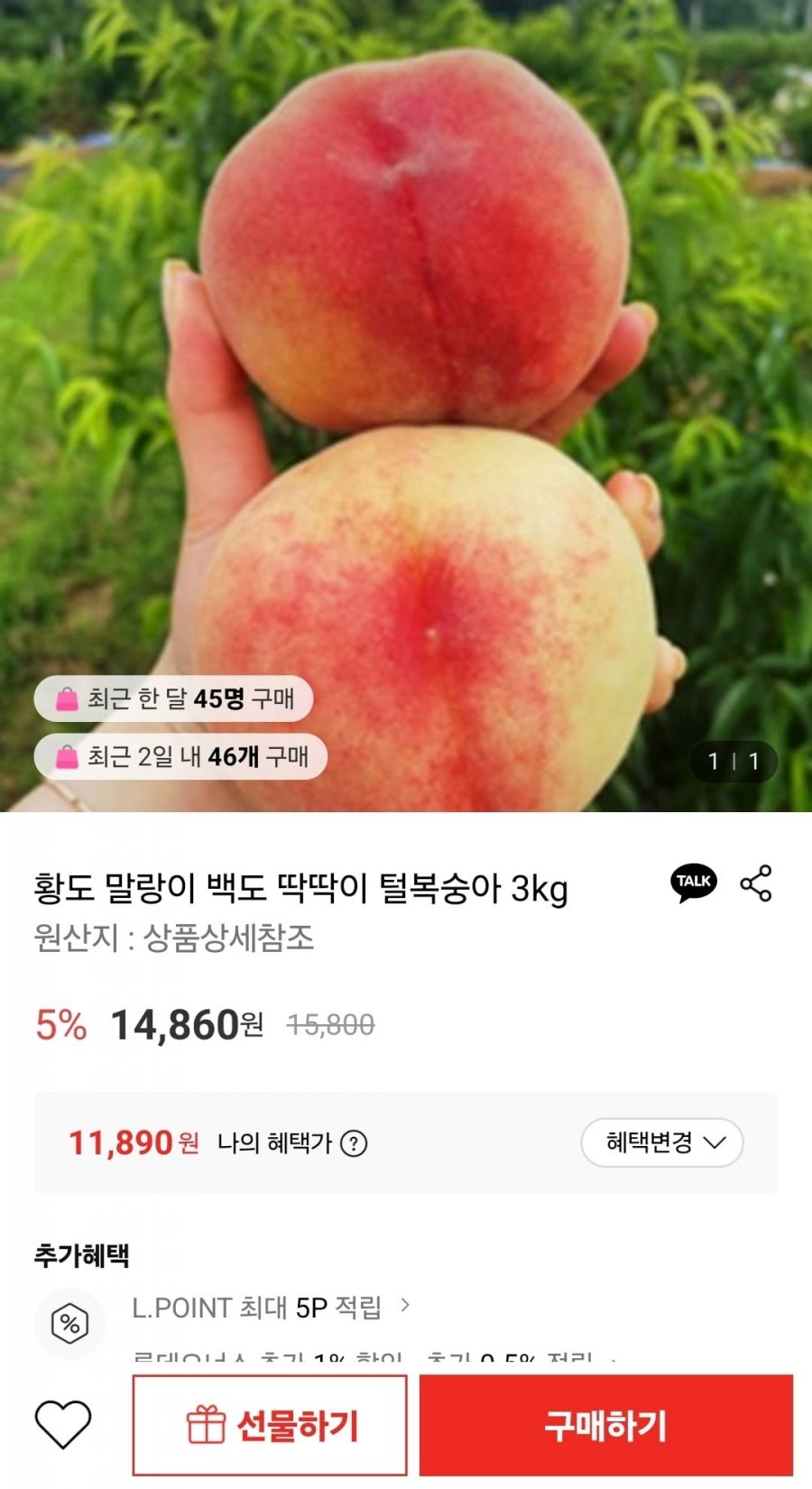 황도 말랑이 백도 딱딱이 털복숭아 3kg (18과이내) (11,890원/무료)