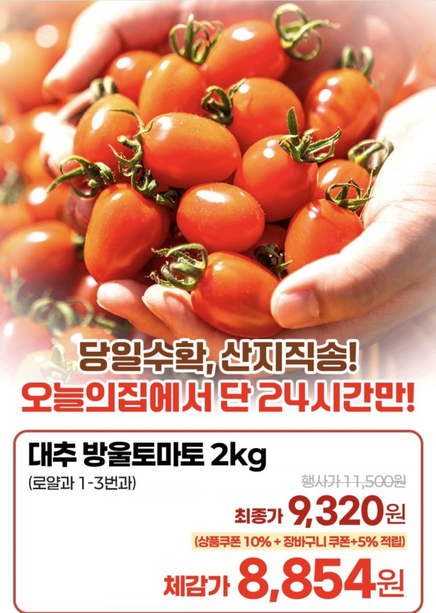 대추 방울토마토 로얄과 2kg 외 스테비아 (9,320원/무료)