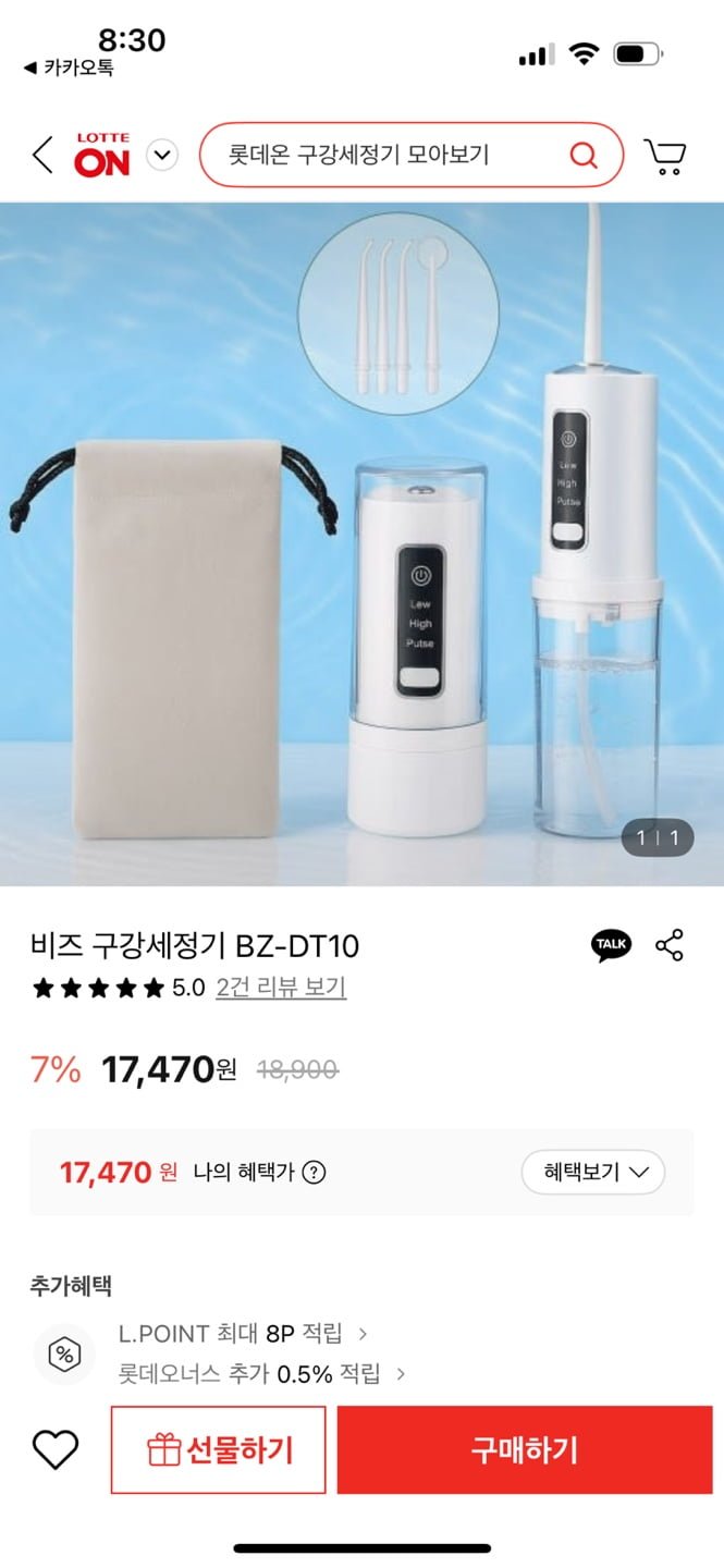 비즈 구강세정기 17,470원/무배