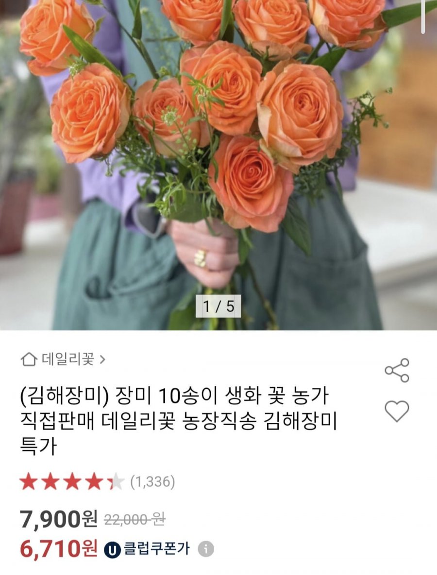 장미 16~20송이 생화 (유클8,410원/무료)