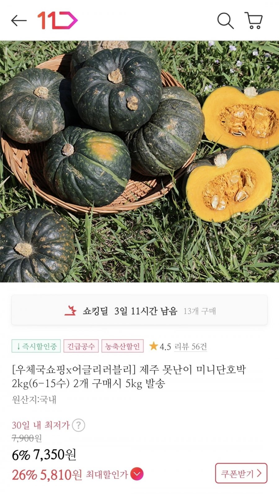 못난이 미니단호박 2kg (5,880원 / 무료배송)