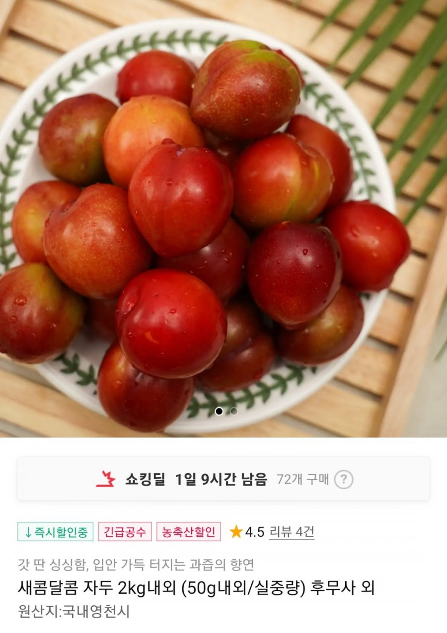 새콤달콤 자두 2kg내외 (50g내외/실중량)(7,450원/무료)