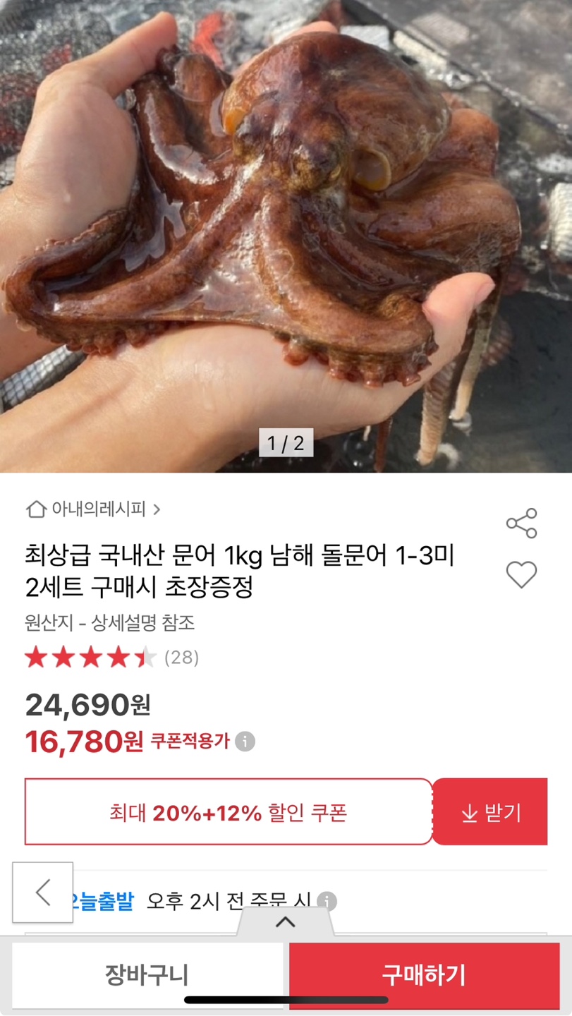 남해 돌문어 1kg 1-3미 2세트 초장증정