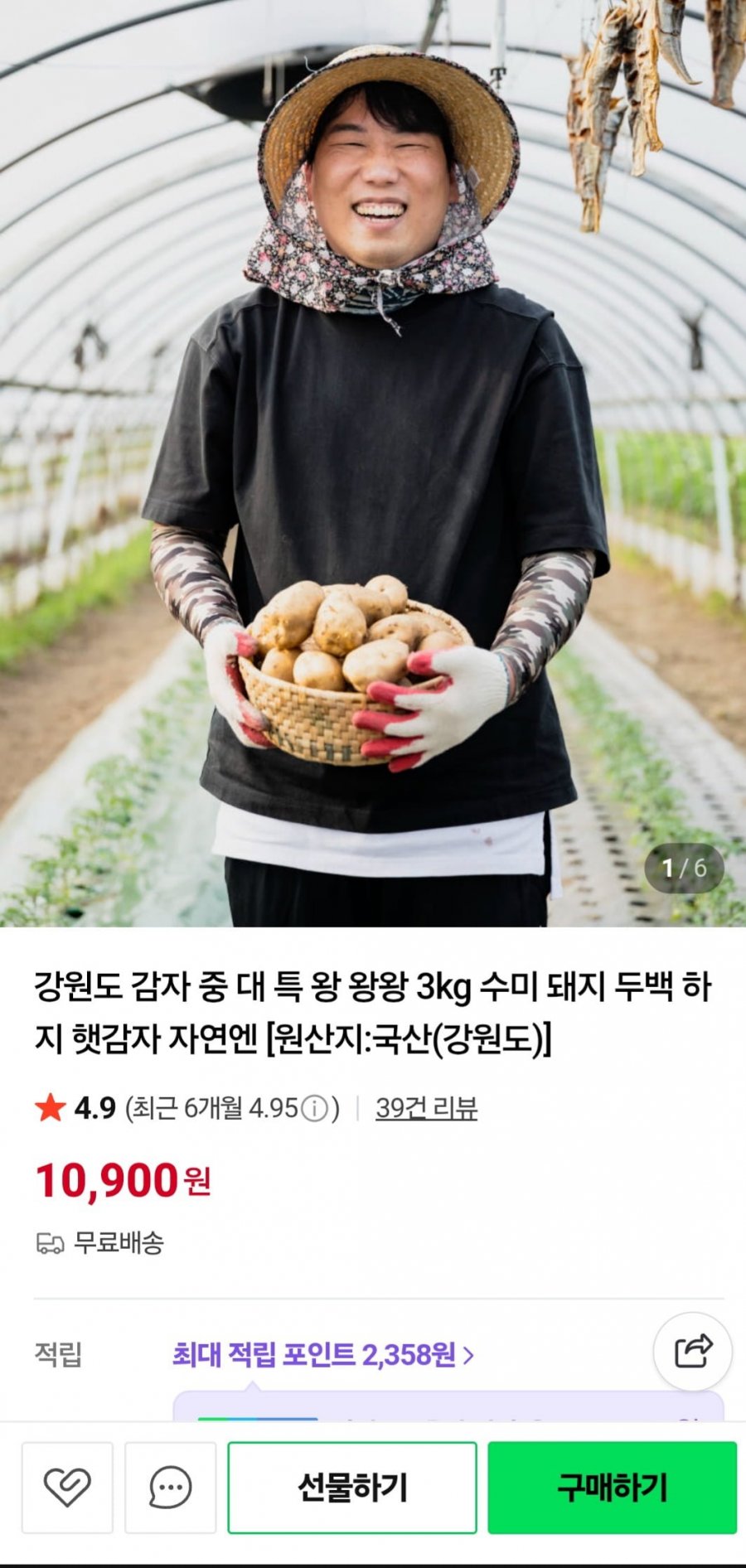 강원도 햇감자 3kg 왕왕사이즈 (10,900원/무료)