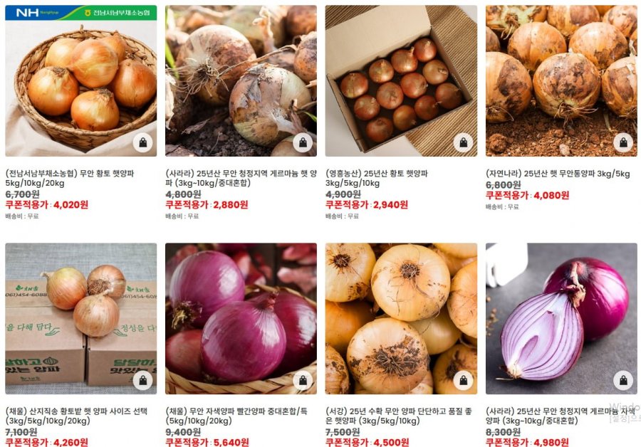 25년 햇양파 특 5KG (5,700/무료)