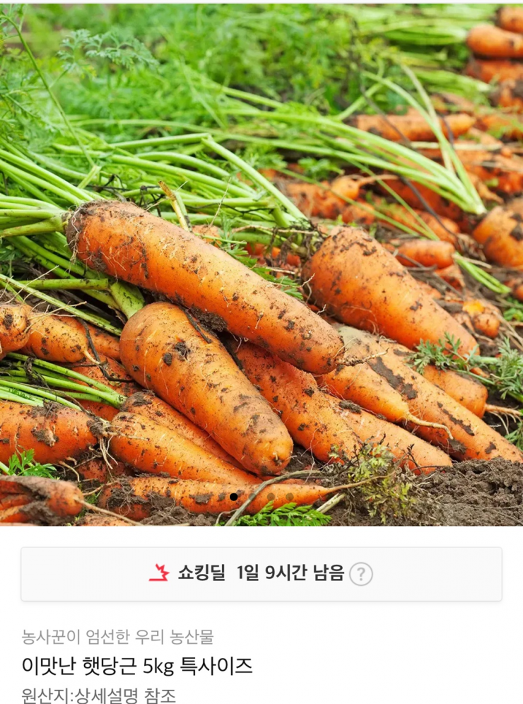햇당근 특사이즈 5KG (13,860원/무료)